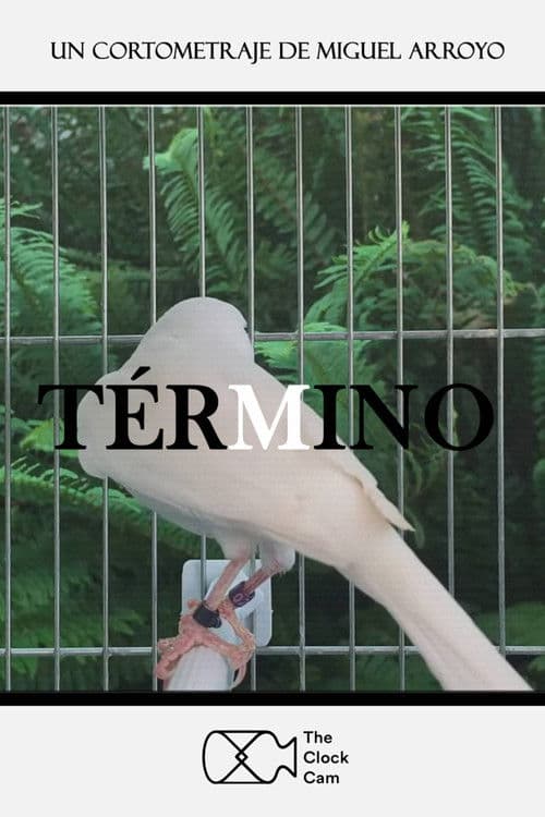 Término
