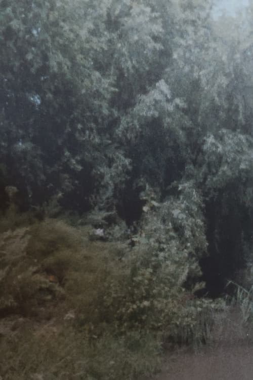 그물을 말리는 곳