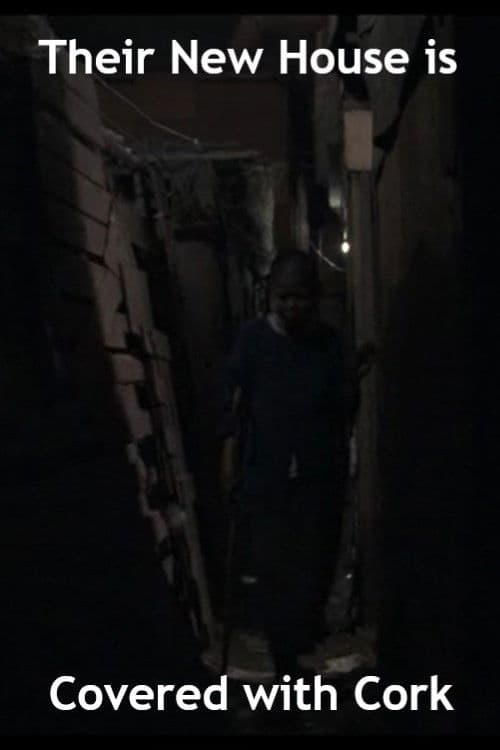 Their New House Is Covered With Cork