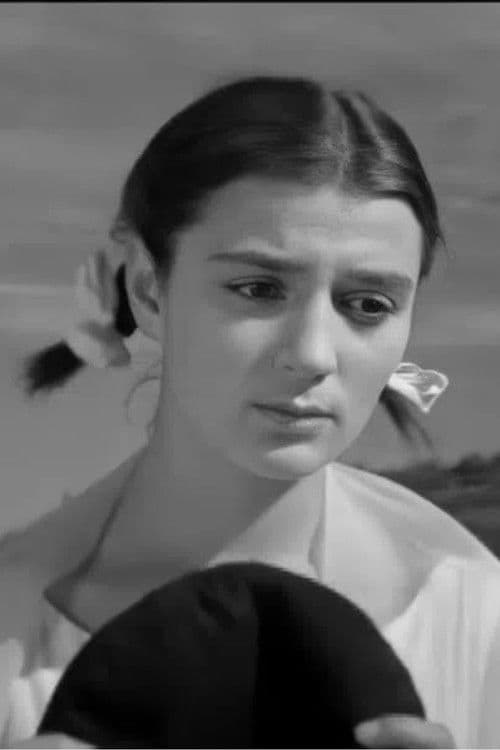 ჩქარი მატარებელი