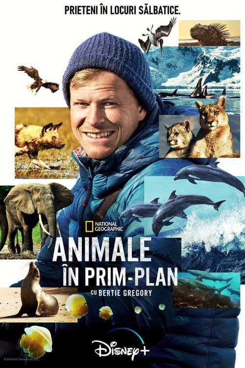 Animale în prim-plan cu Bertie Gregory