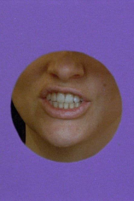 Memory Is an Animal, It Barks with Many Mouths