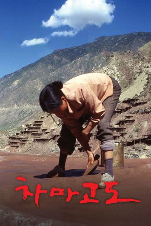 천상의 길 - 차마고도 극장판