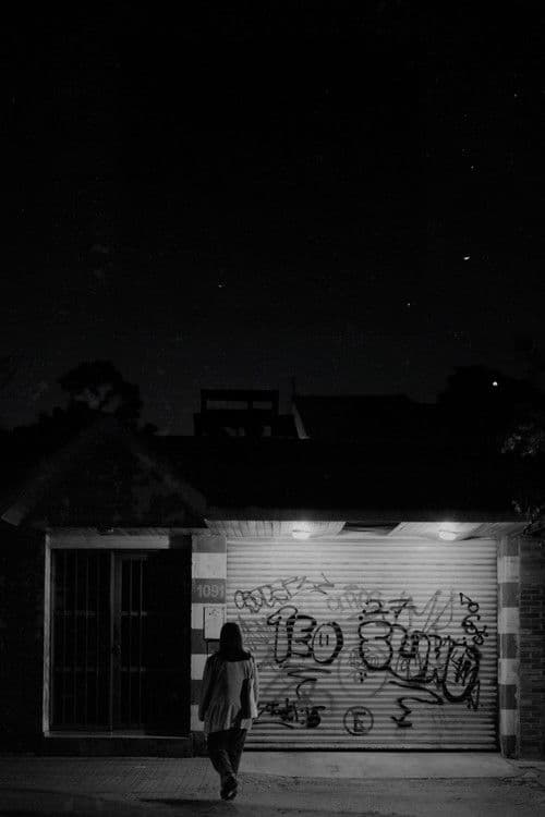 Los pájaros cantan de noche