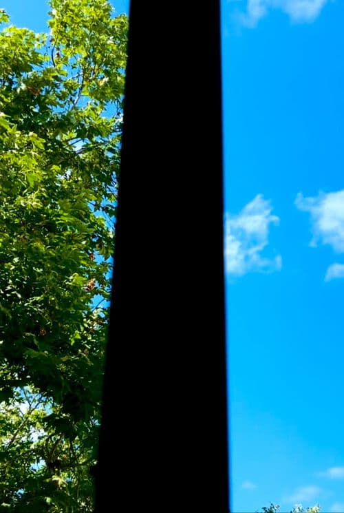 When Butterflies Scream