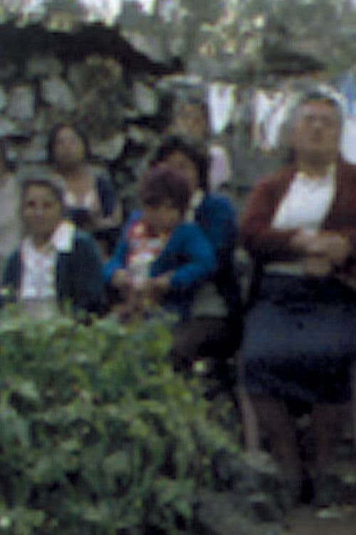 Elvira Luz Cruz, Pena Máxima