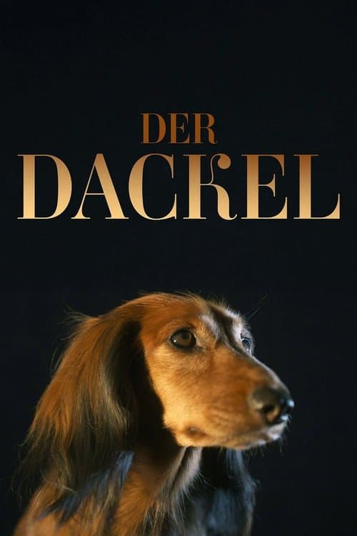 Der Dackel