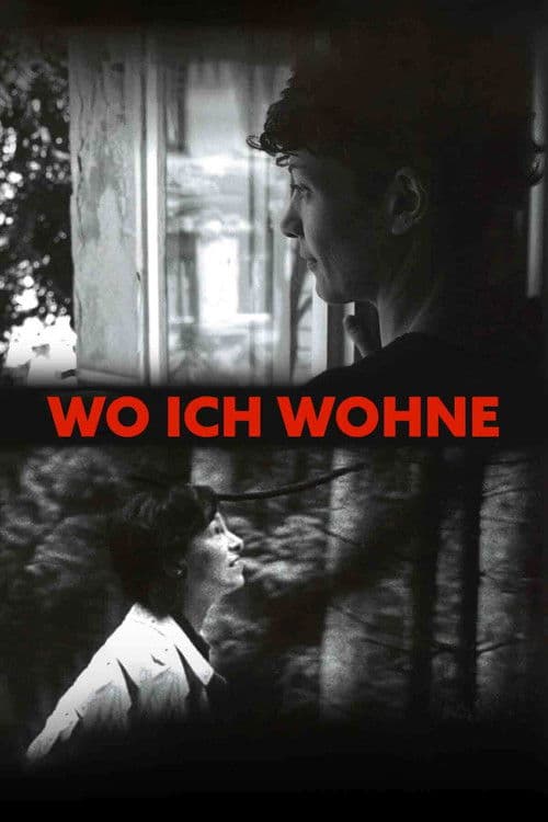 Wo ich wohne - Ilse Aichinger