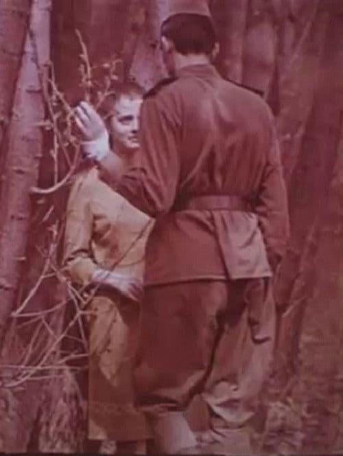 Вербное воскресенье