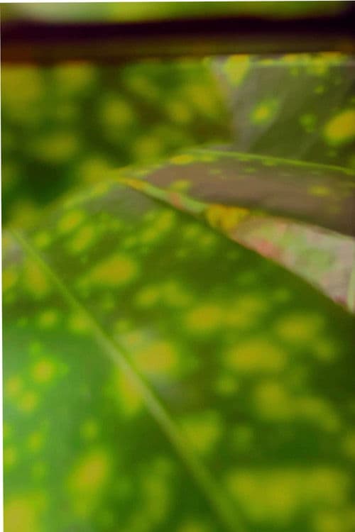 recuerdos de rio verde