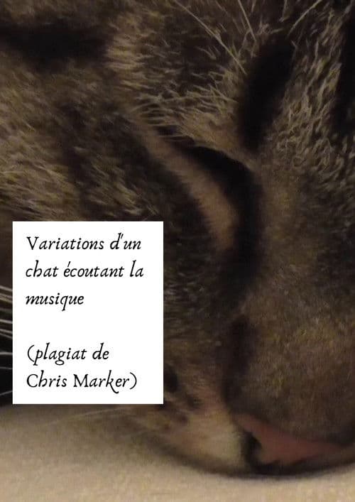 Variations d’un chat écoutant la musique (plagiat de Chris Marker)
