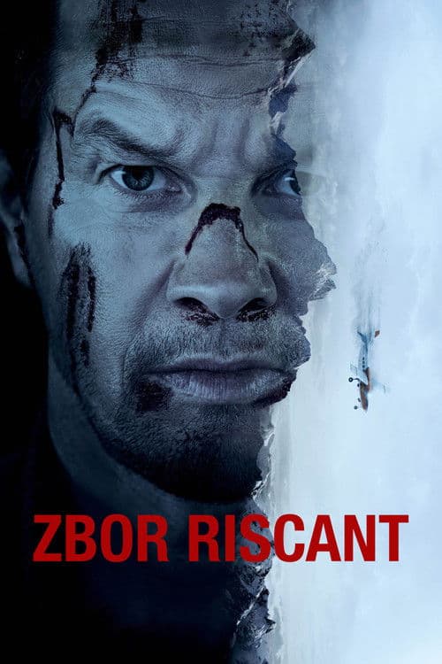 Zbor riscant