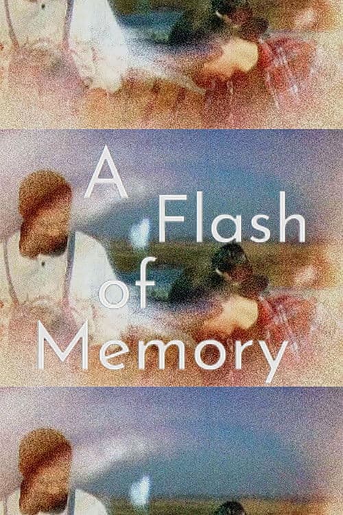 A Flash of Memory