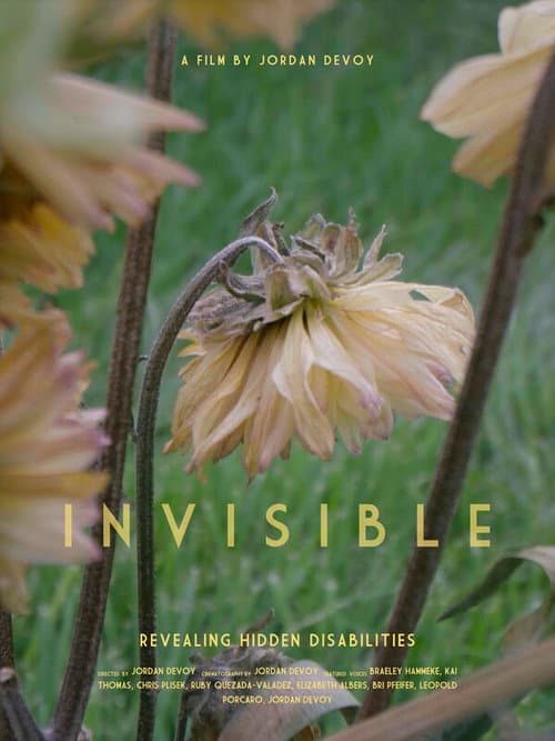 Invisible - Revealing Hidden Disabilities