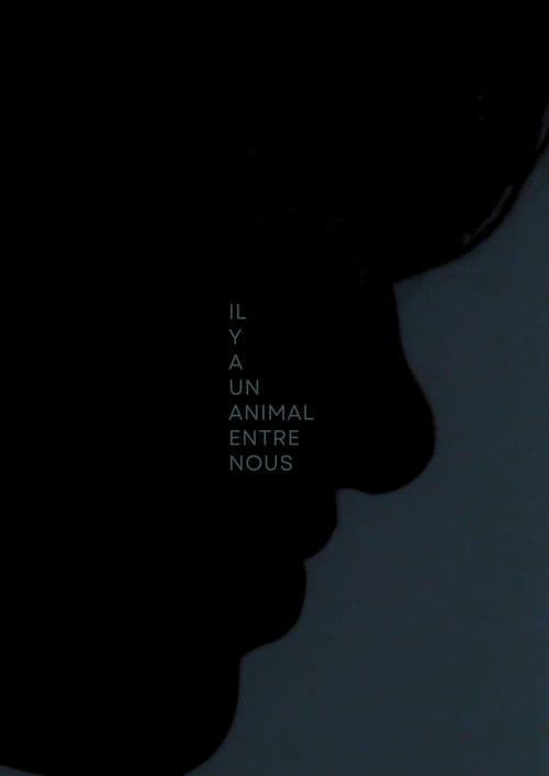 Il y a Un Animal Entre Nous