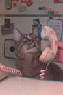 Burton the Cat