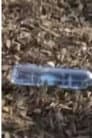 Water Bottle
