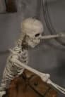 Frank The Skeleton