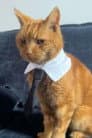 Mr Toby Bimscims