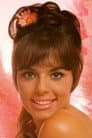 Jo Collins