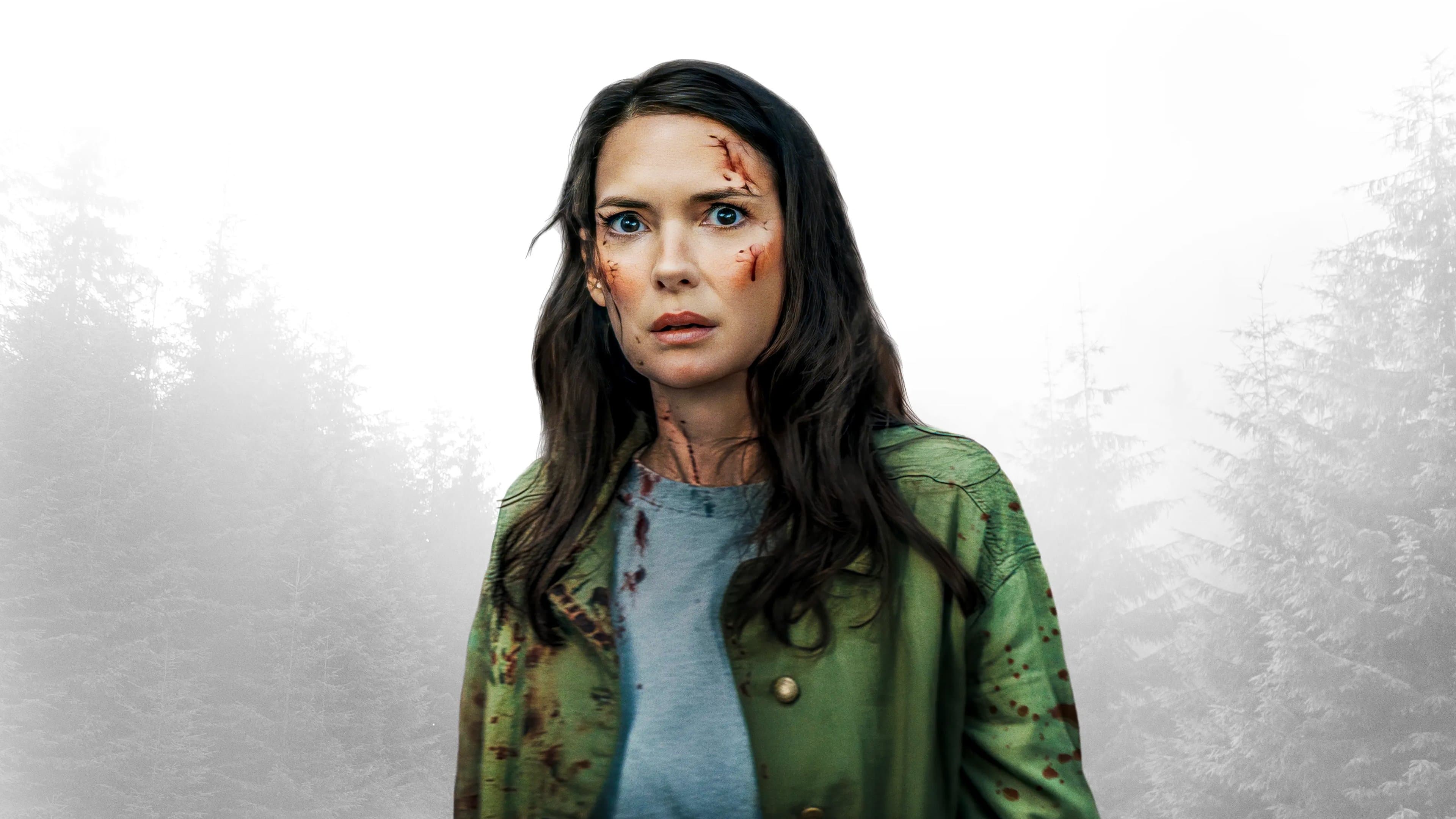 Dispăruți în noapte