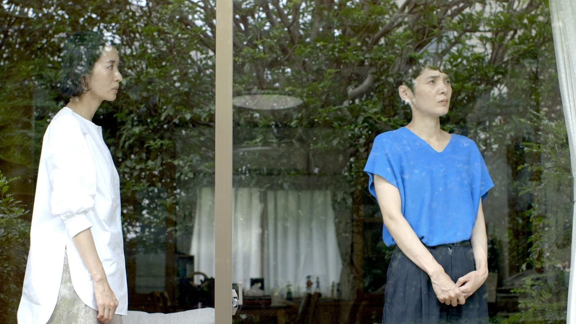 Roata norocului și a fanteziei