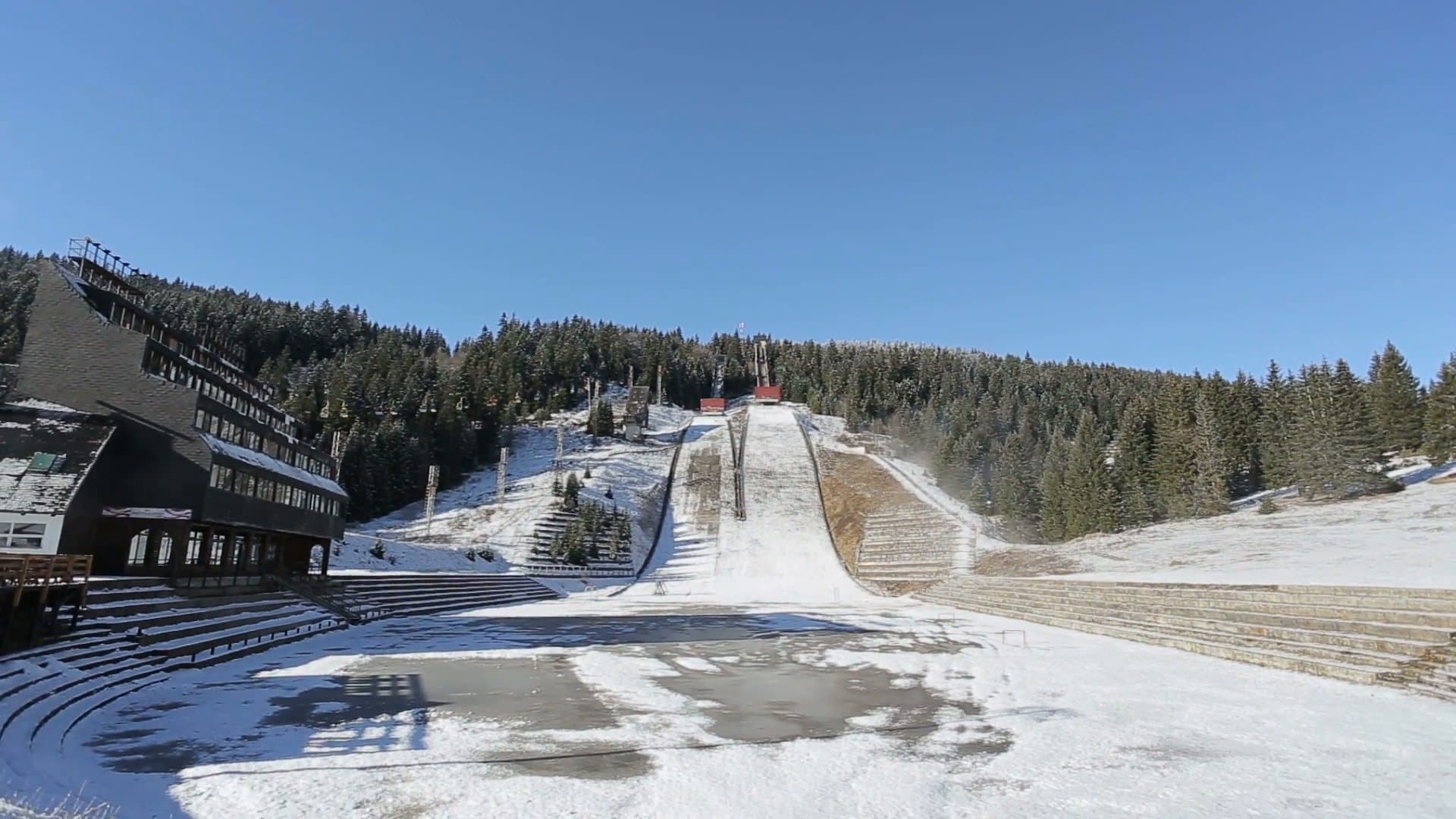 Marele extaz al sculptorului în lemn Steiner