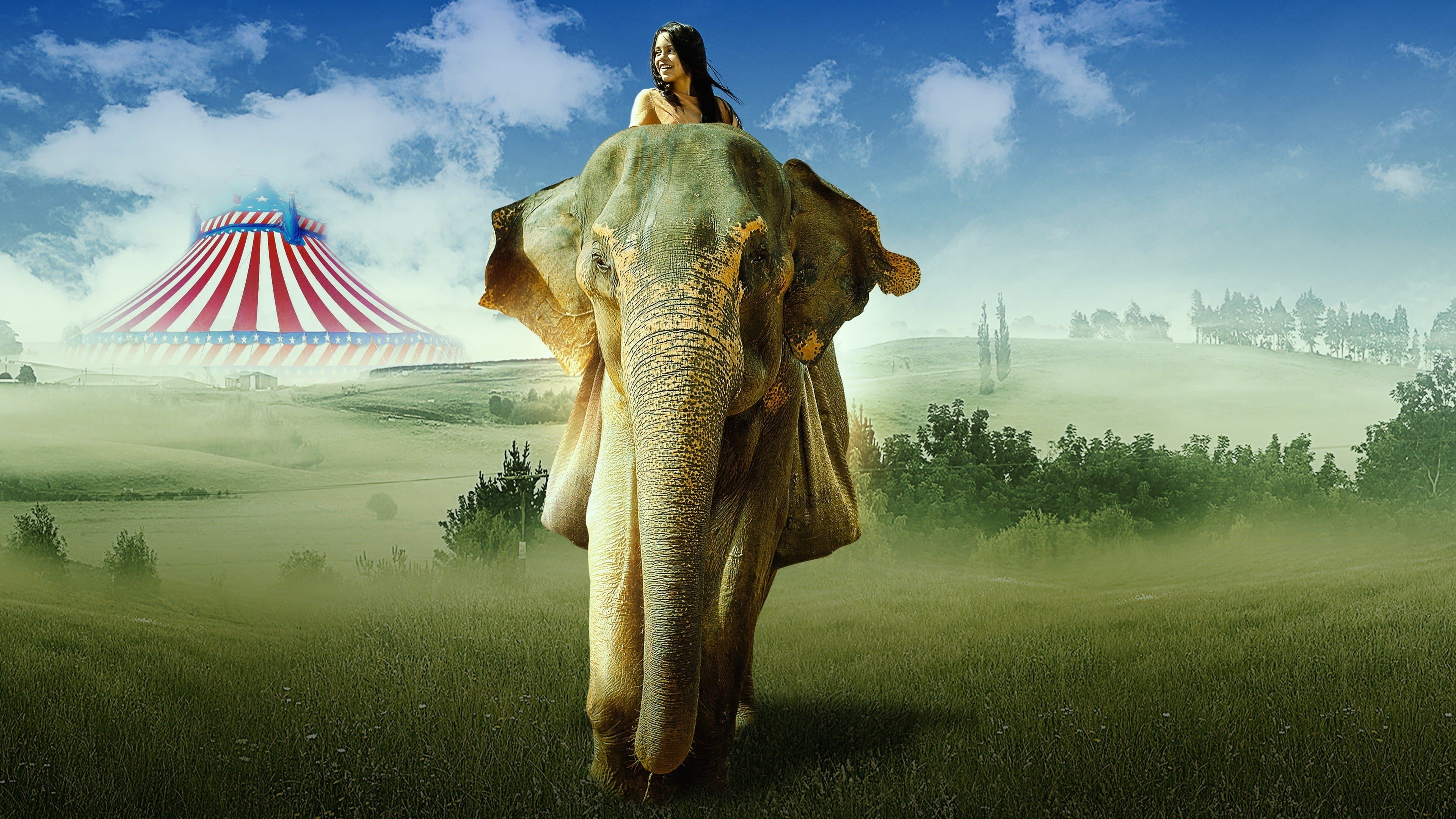 S-o salvăm pe Flora!