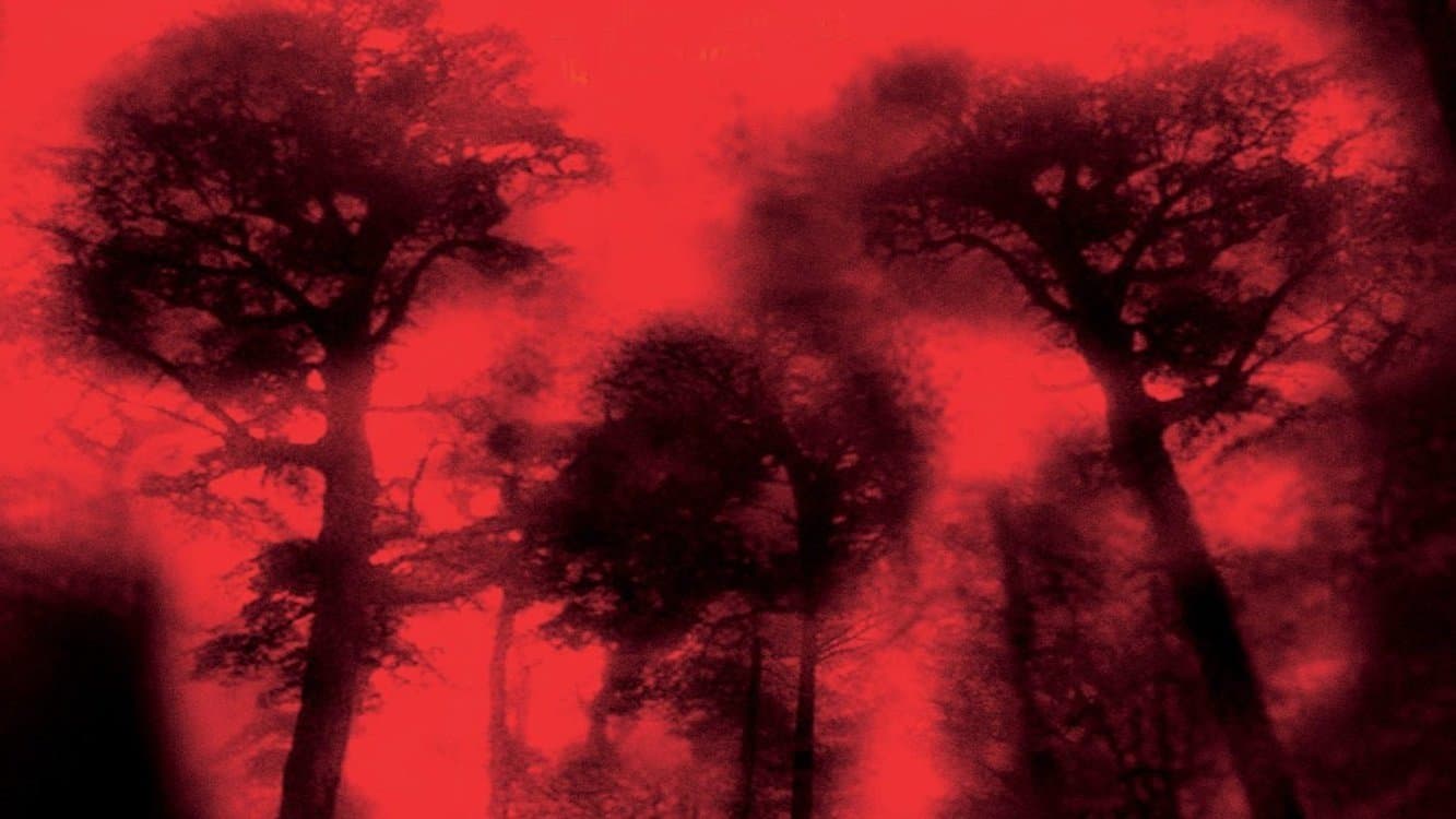 Coșmarul de la cabană