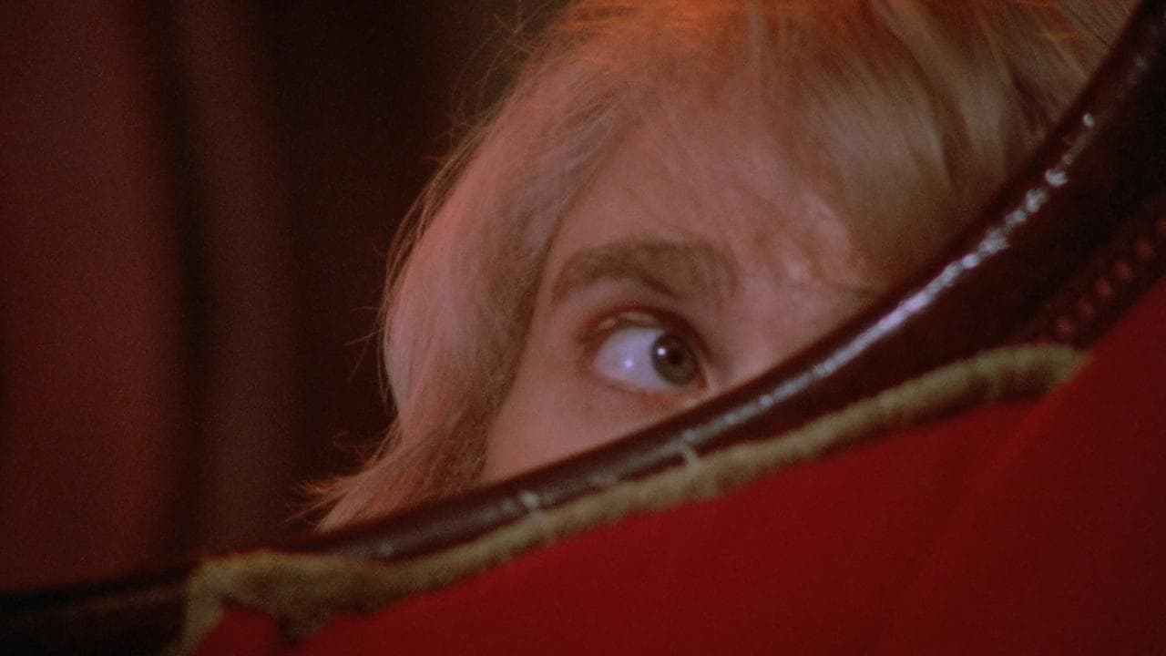 Până în zorii dimineții