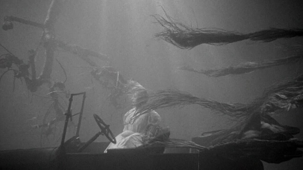 Noaptea vânătorului