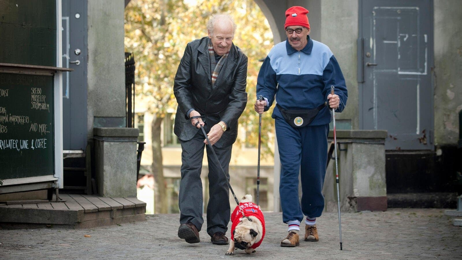 Povestea lui Stig-Helmer