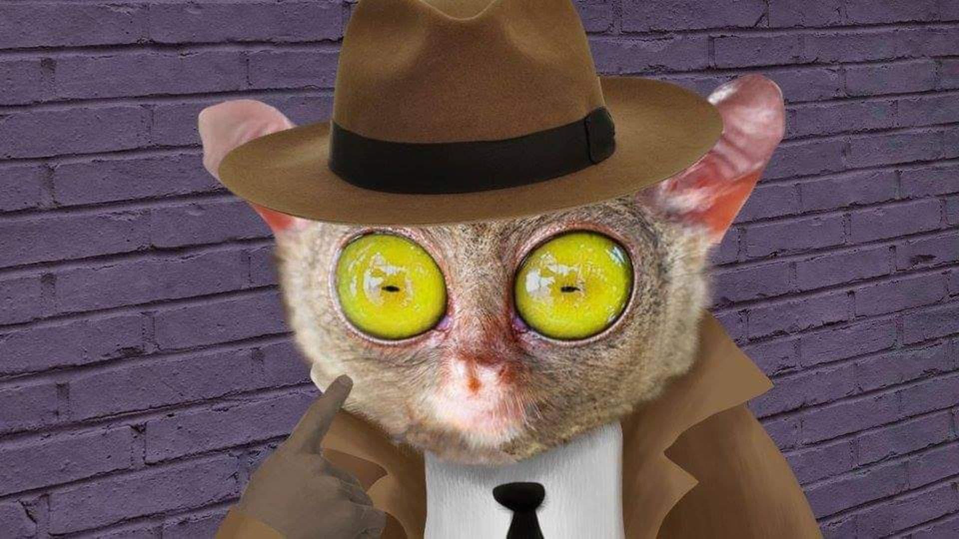 Lorenzo Delgado, Investigador Privado