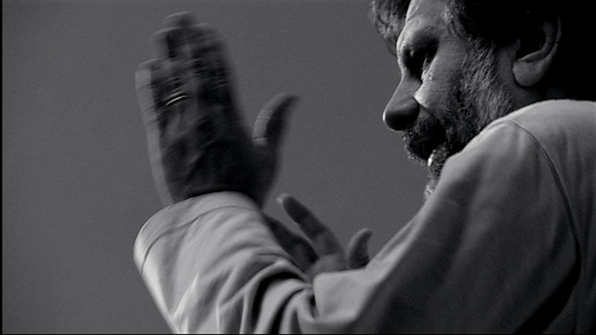 Alien, Marx & Co. - Slavoj Zizek im Porträt