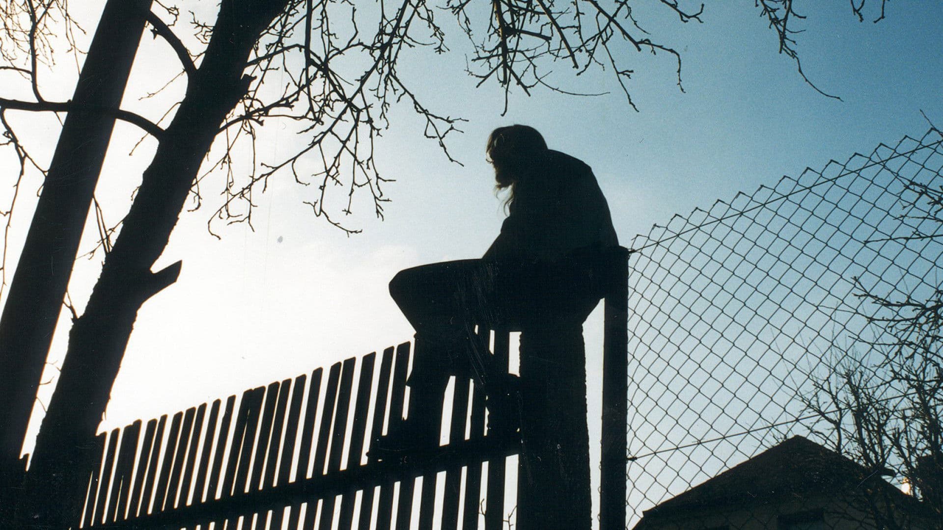 Über die Grenze - Fünf Ansichten von Nachbarn