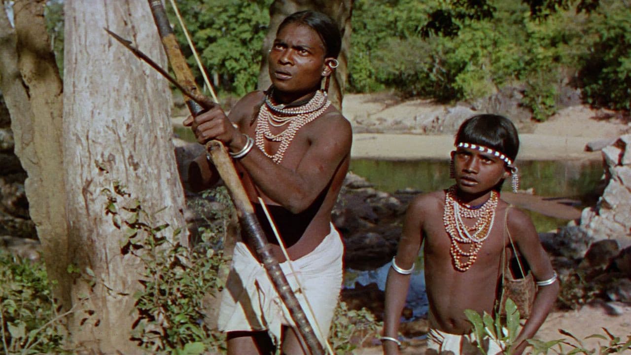 Fluierul și săgeata