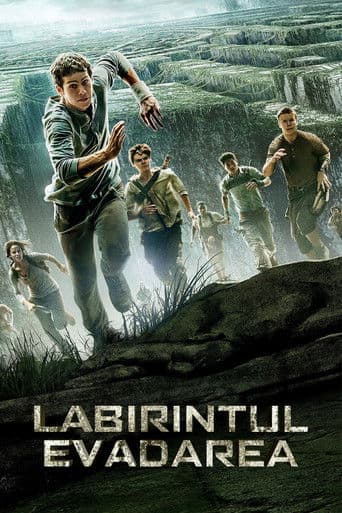 Labirintul: Evadarea