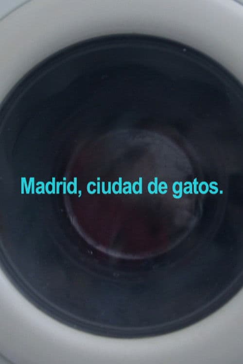 Madrid, ciudad de gatos