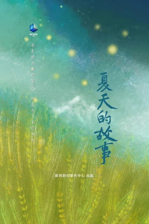 夏天的故事