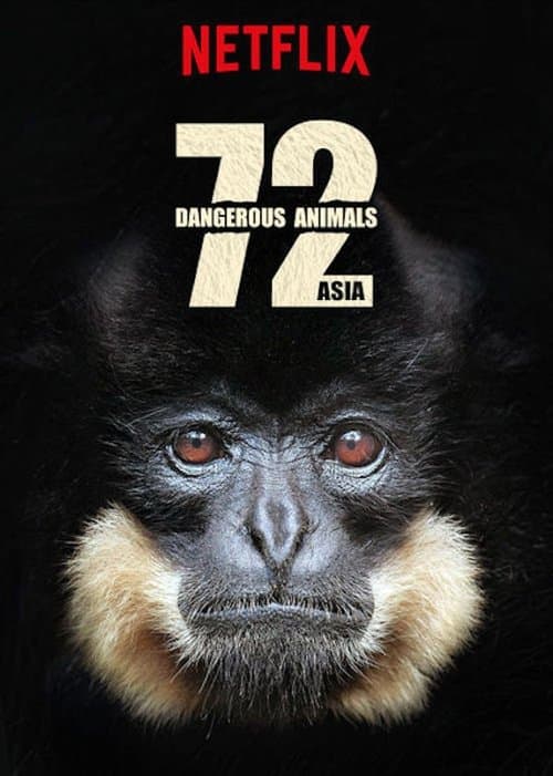 72 de animale periculoase: Asia
