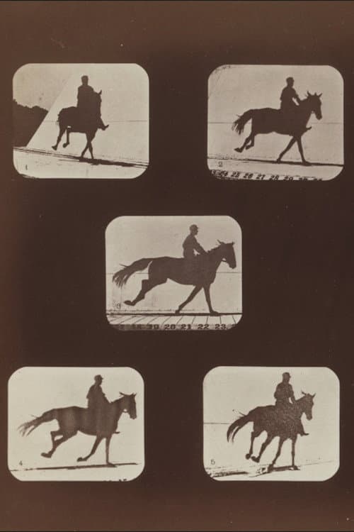 The Horse in Action