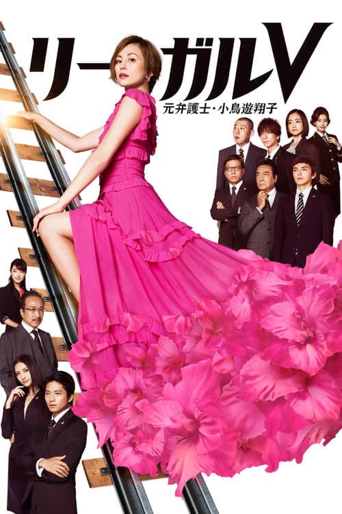 リーガルV~元弁護士・小鳥遊翔子~