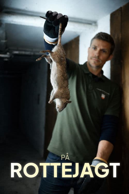 På rottejagt