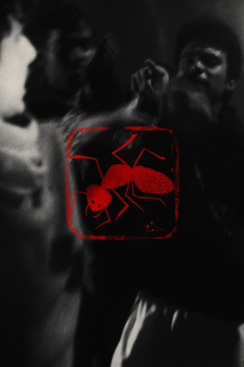 বিষ পিঁপড়া